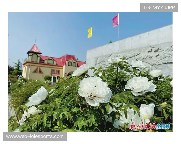 苏格兰公开赛纪念品热销带动当地旅游业持续升温推动经济繁荣